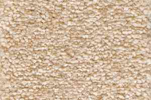 Ковролин AW Masquerade Lucrezia 36 фото  | FLOORDEALER